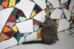 hopehall_pets