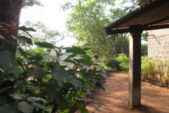 hopehall_plants